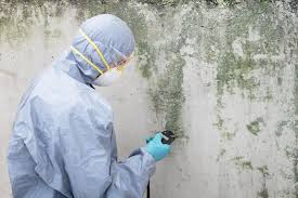 Best Forensic Mold Investigation  in Shrub Oak, NY